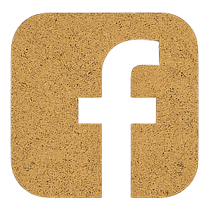 Obionar Electronics Facebook profile link